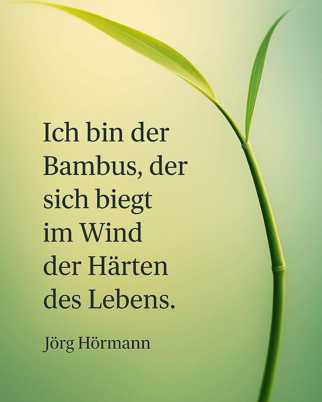 Ich bin der Bambus, der sich biegt im Wind der Härten des Lebens. (Jörg Hörmann)